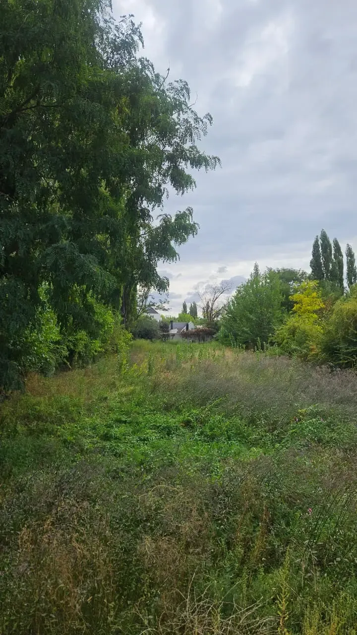 LOTE CHACRAS DE CORIA