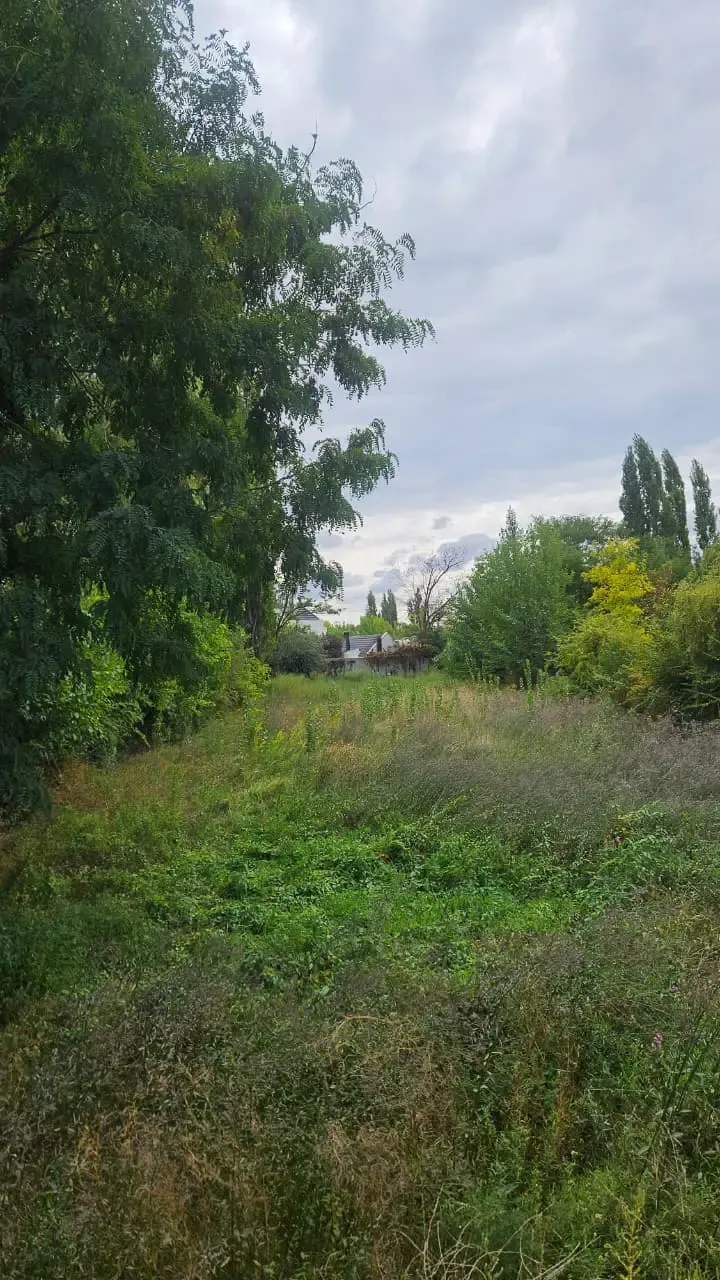 LOTE CHACRAS DE CORIA