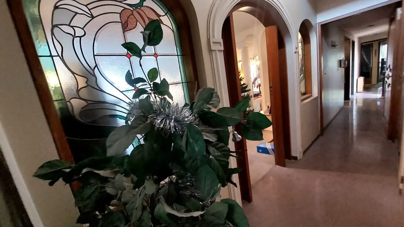 5TA | DEPARTAMENTO + LOCAL